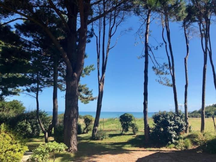 וארנגביל-סור-מר Villa Vue Mer Avec Acces Direct A La Plage מראה חיצוני תמונה